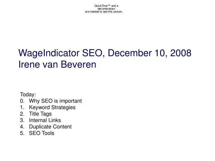 wageindicator seo december 10 2008 irene van beveren