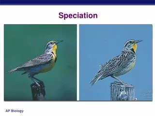 speciation