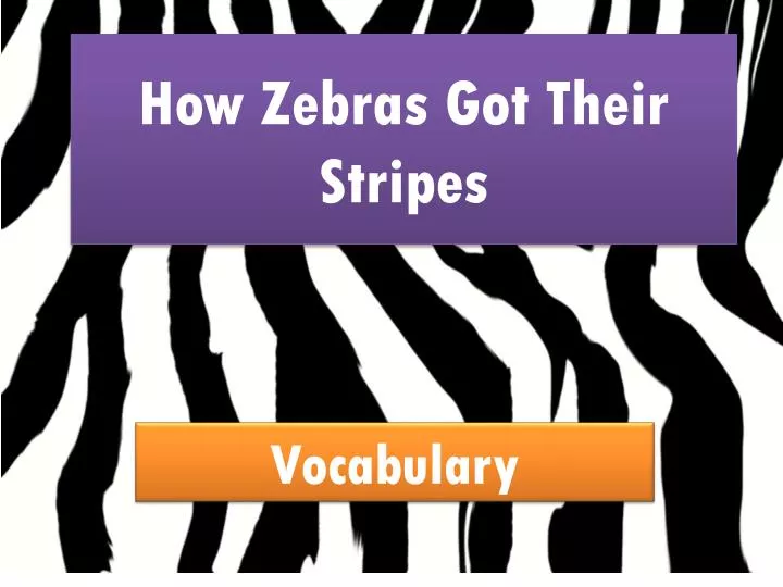 how zebras got their stripes