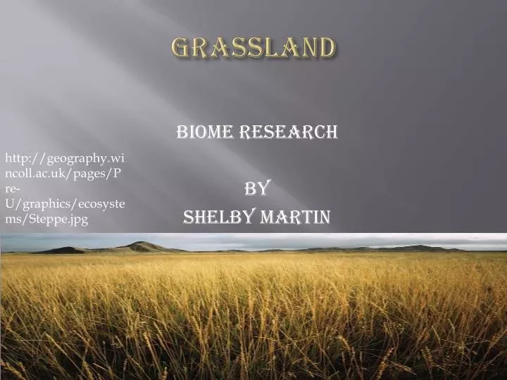 grassland