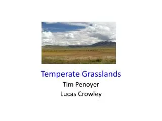 Temperate Grasslands Tim Penoyer Lucas Crowley