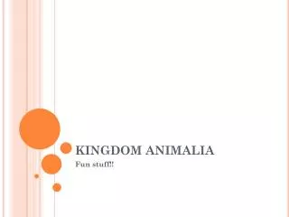 KINGDOM ANIMALIA