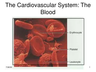The Cardiovascular System: The Blood