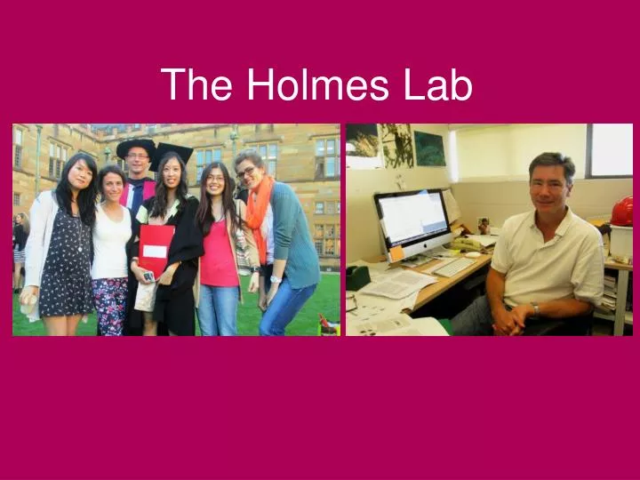 the holmes lab