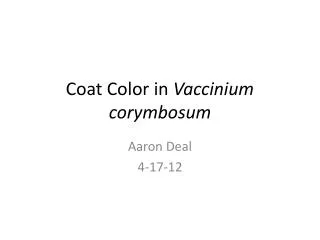 Coat Color in Vaccinium corymbosum