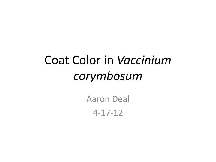 coat color in vaccinium corymbosum