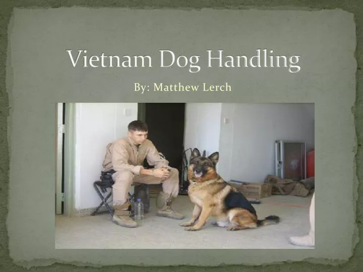 vietnam dog handling