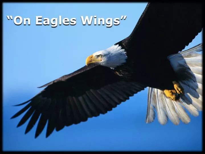 on eagles wings