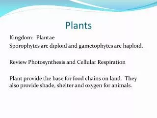 plants