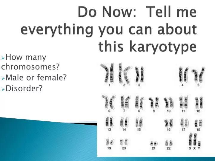 do now tell me everything you can about this karyotype