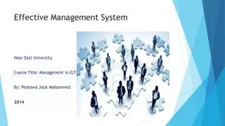 Effective Management System