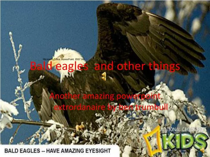 bald eagles and other things