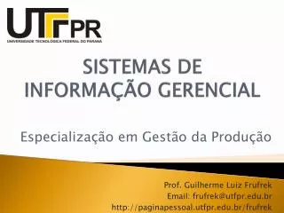 sistemas de informa o gerencial