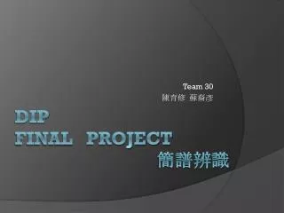 Dip final project ????