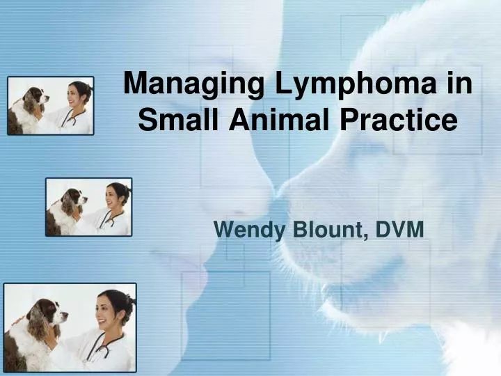 managing lymphoma in small animal practice