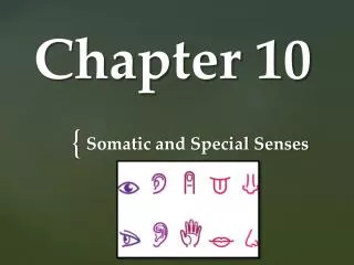 Chapter 10