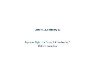 Lecture 12, February 10