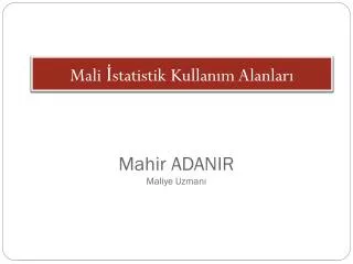 mali statistik kullan m alanlar