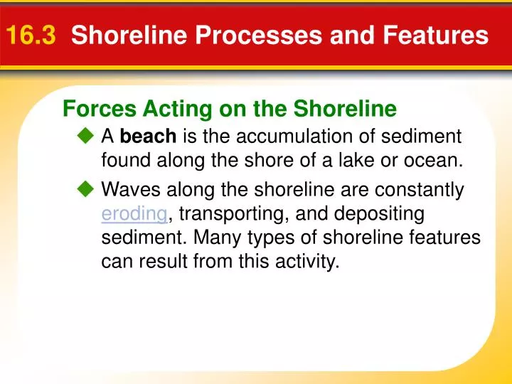 16 3 shoreline processes and features