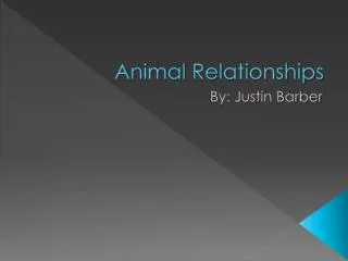 Animal Relationships