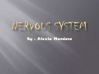 nervous system