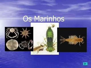 os marinhos