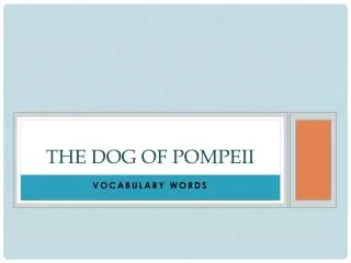 The Dog of Pompeii