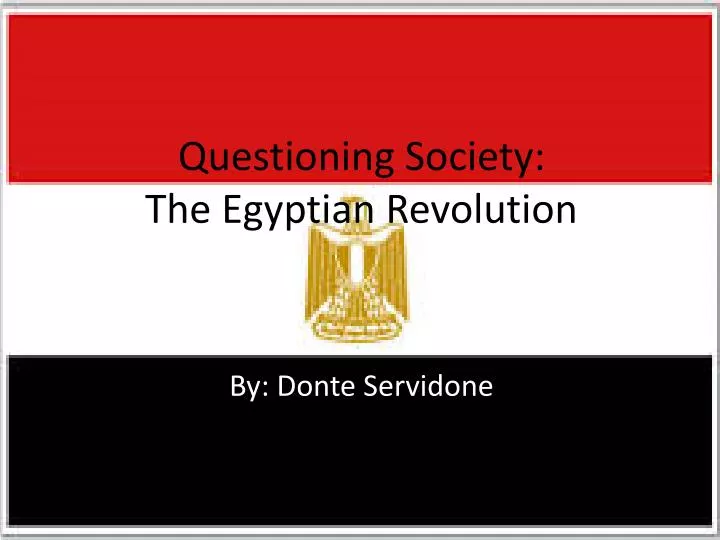 questioning society the egyptian revolution