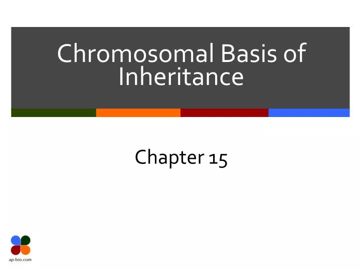 chromosomal basis of inheritance