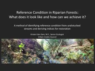 Reference Condition in Riparian Forests: What does it look like and how can we achieve it?