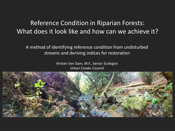 reference condition in riparian forests what does it look like and how can we achieve it