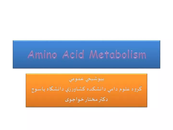 amino acid metabolism