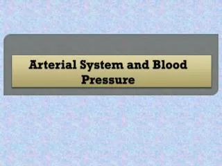 Arterial System and Blood Pressure