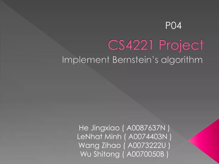 cs4221 project