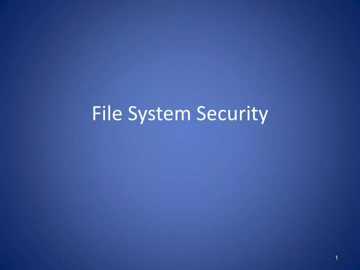 file system security