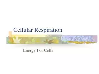 cellular respiration