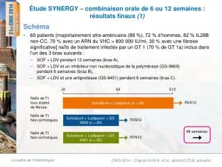 tude synergy combinaison orale de 6 ou 12 semaines r sultats finaux 1