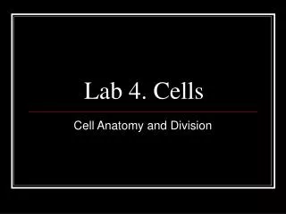 Lab 4. Cells