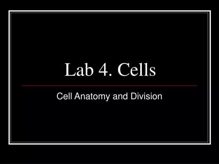 lab 4 cells