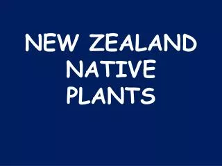 NEW ZEALAND NATIVE PLANTS