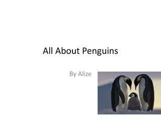 All About Penguins