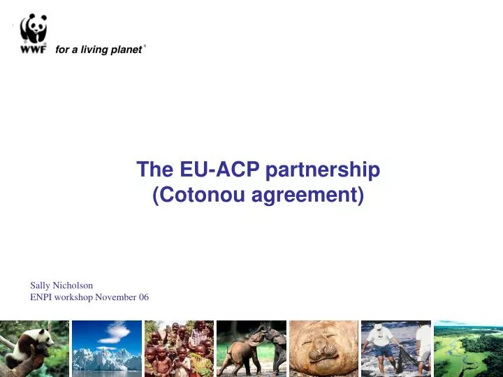 the eu acp partnership cotonou agreement