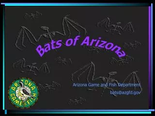 Bats of Arizona