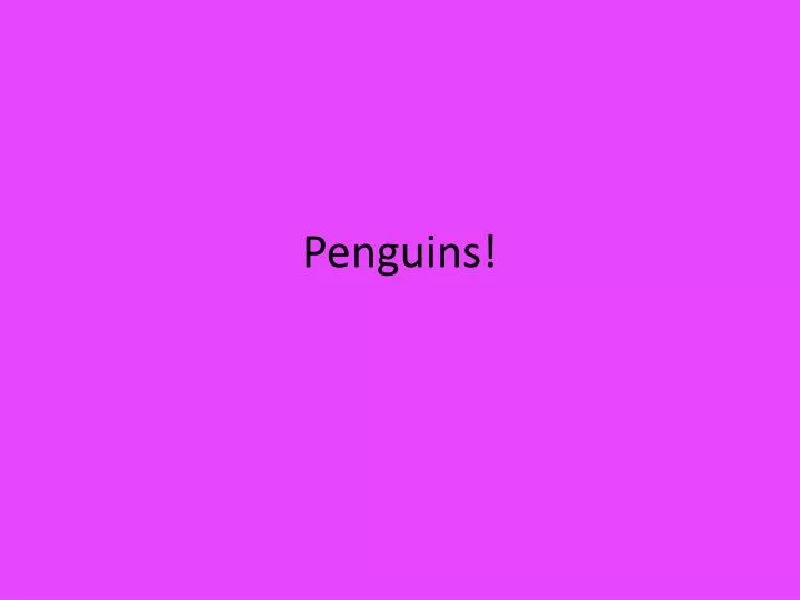 penguins