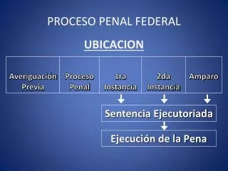 proceso penal federal