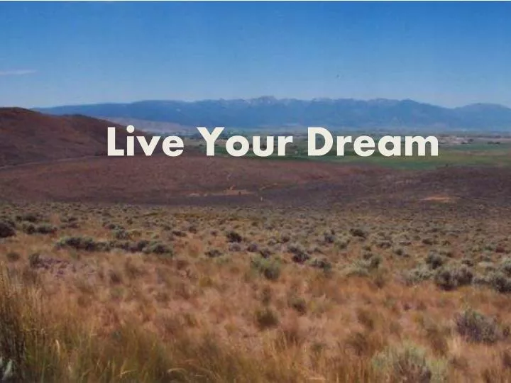 live your d ream
