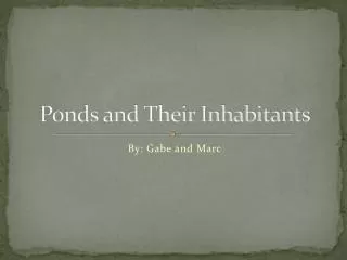 Ponds and Their Inhabitants