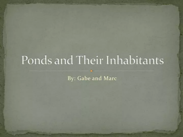 ponds and their inhabitants
