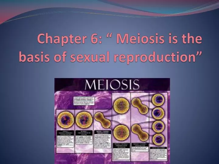 chapter 6 meiosis is the basis of sexual reproduction