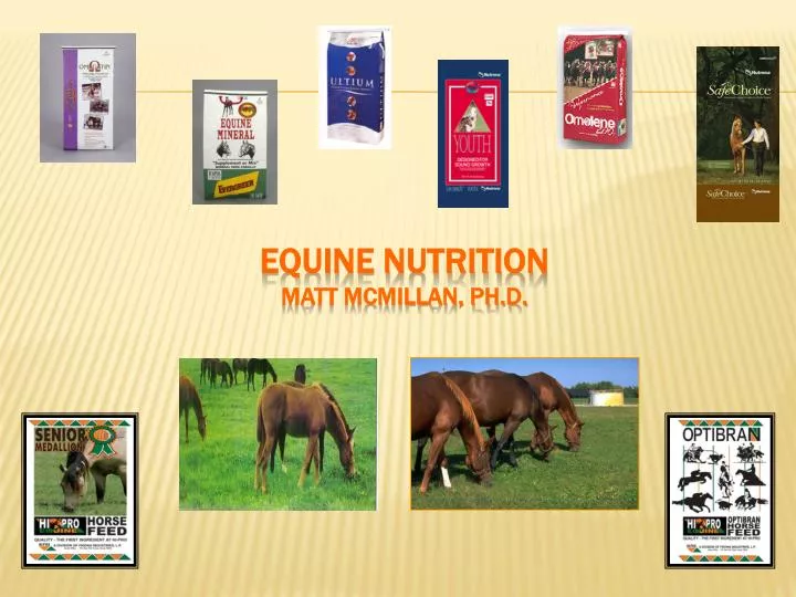 equine nutrition matt mcmillan ph d